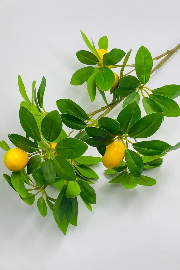 Загружен программно: img_3983.jpg