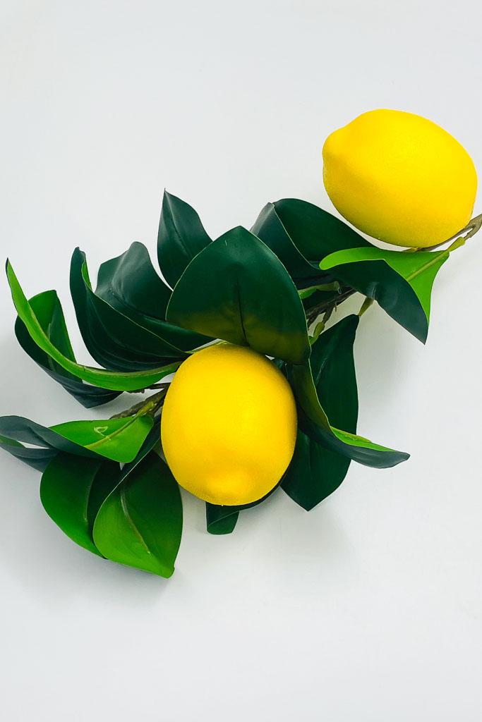 Загружен программно: img_3984.jpg