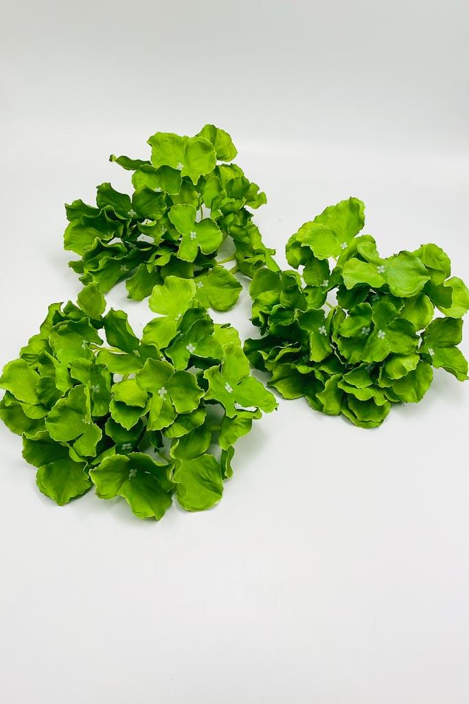 Загружен программно: img_4018_0.jpg