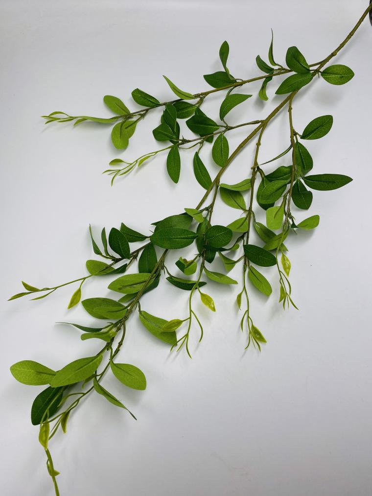 Загружен программно: img_4111.jpg