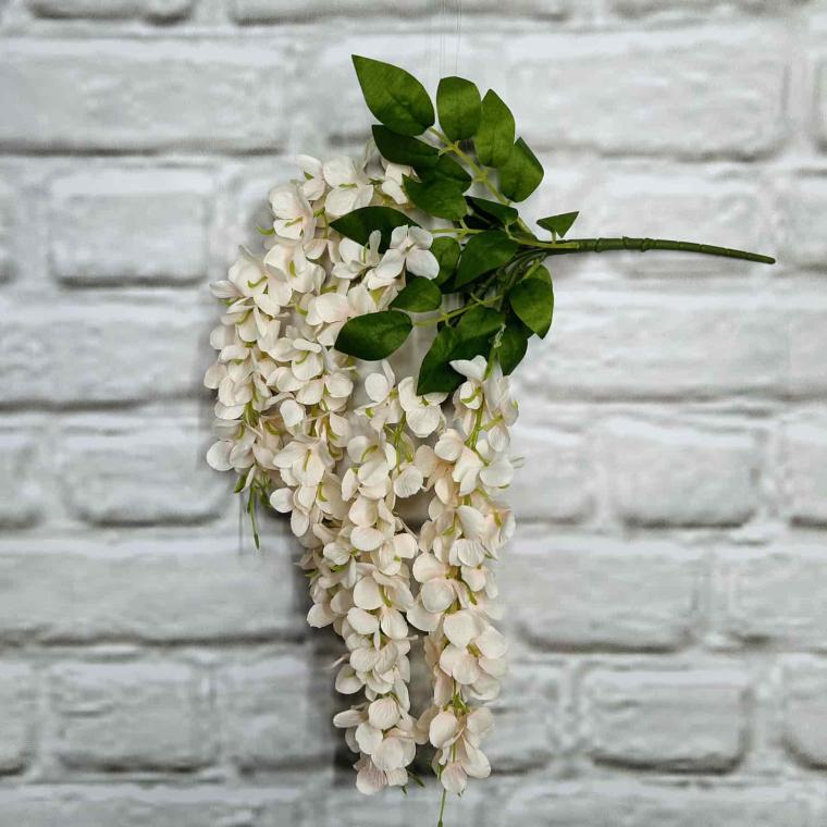 Загружен программно: img_4585.jpg