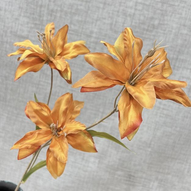 Загружен программно: img_5606.jpeg