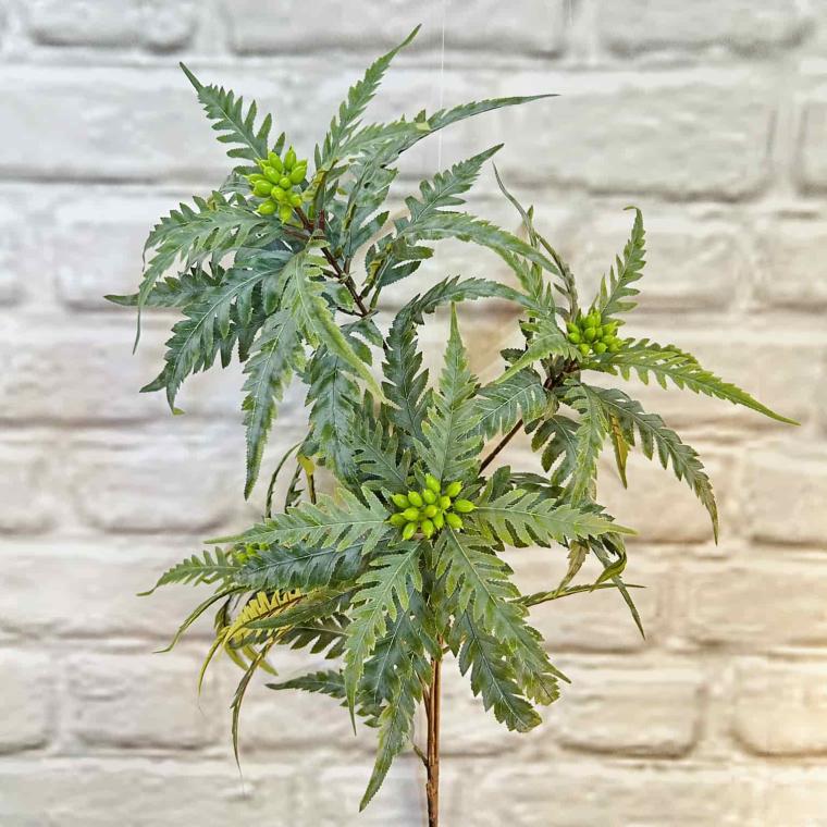 Загружен программно: img_5766.jpg