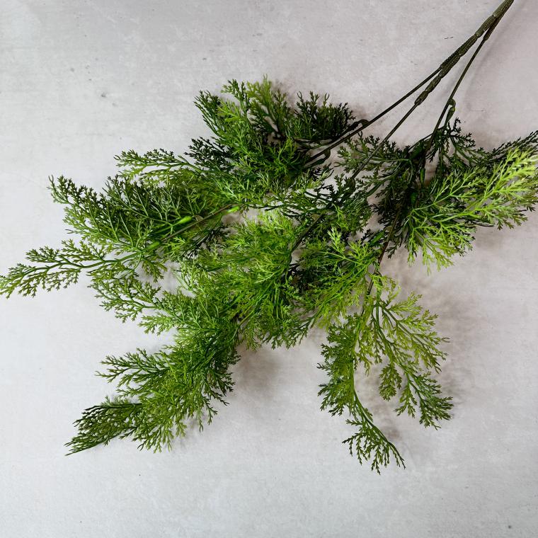 Загружен программно: img_6197_0.jpeg