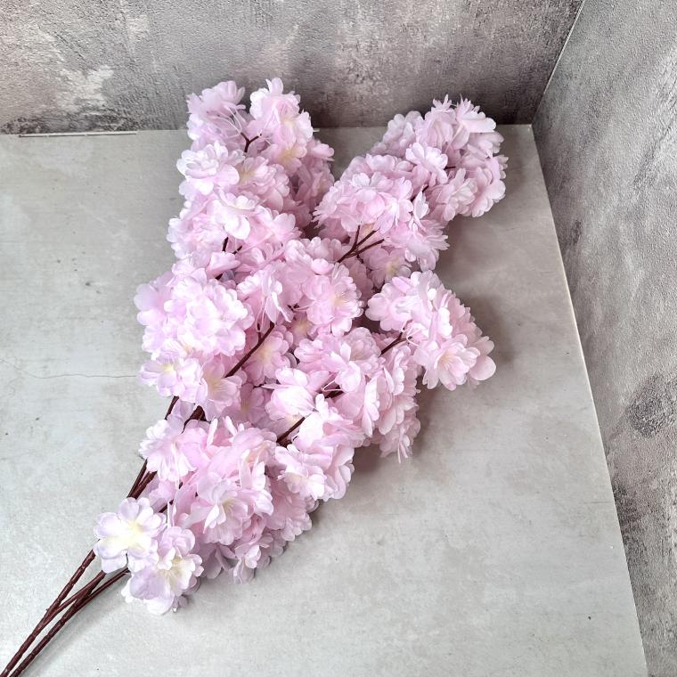 Загружен программно: img_6209.jpeg