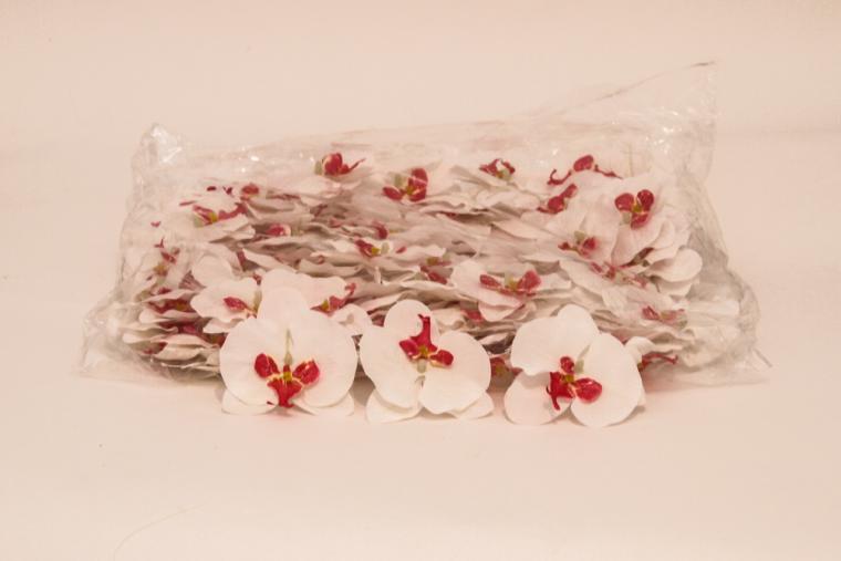 Загружен программно: img_6466.jpg