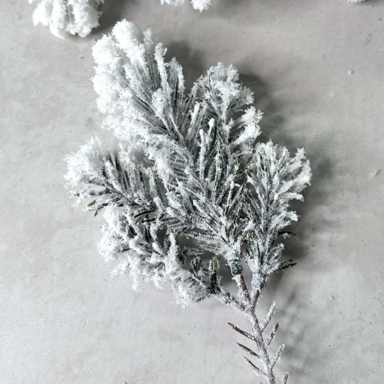 Загружен программно: img_6668_0.jpg