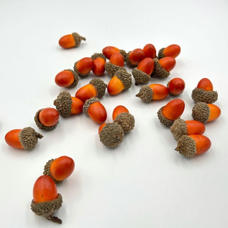 Загружен программно: img_6764.jpeg