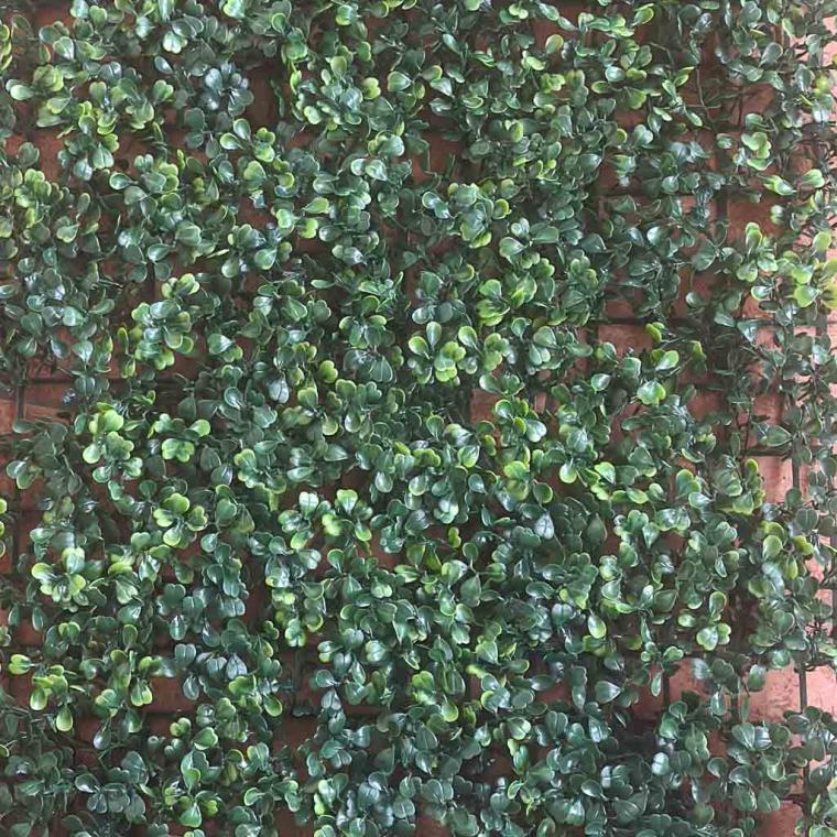 Загружен программно: img_7114_1.jpg