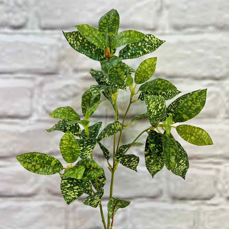 Загружен программно: img_7176_0.jpg