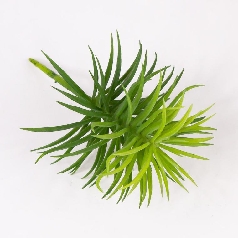 Загружен программно: img_7211.jpg