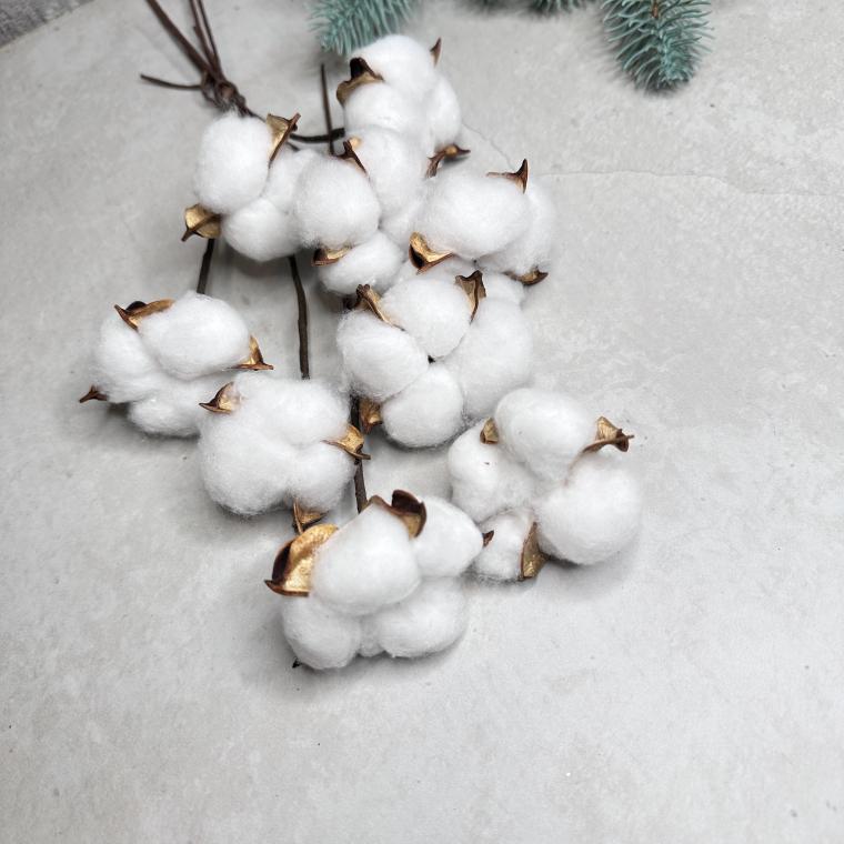 Загружен программно: img_7284.jpeg