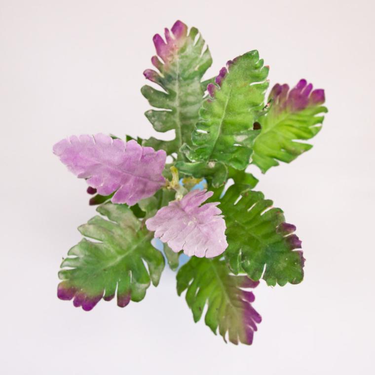 Загружен программно: img_7303.jpg