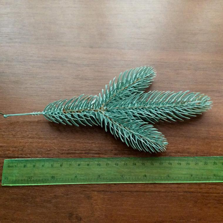 Загружен программно: img_7752_0.jpg