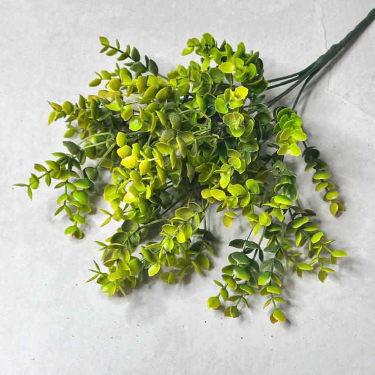 Загружен программно: img_7979.jpg