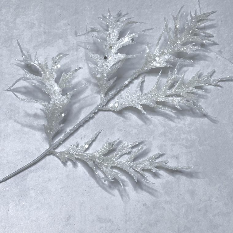 Загружен программно: img_8221.jpeg