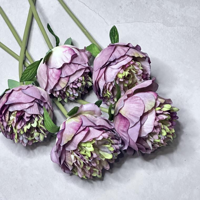 Загружен программно: img_8231.jpeg