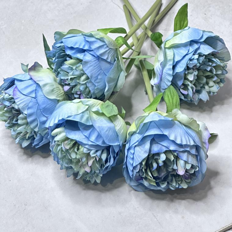 Загружен программно: img_8240.jpeg