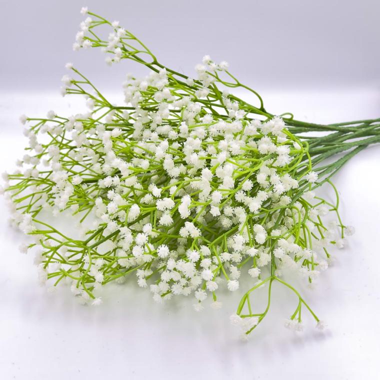 Загружен программно: img_8269.jpg