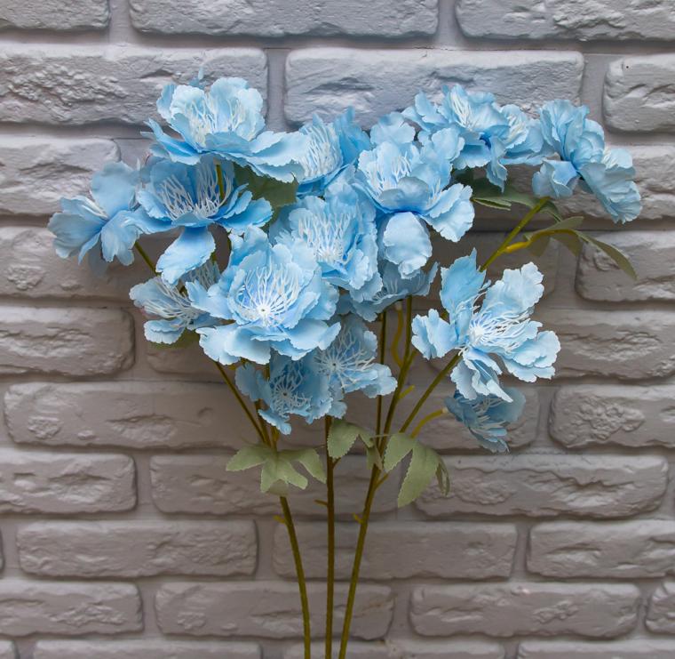 Загружен программно: img_8535.jpg