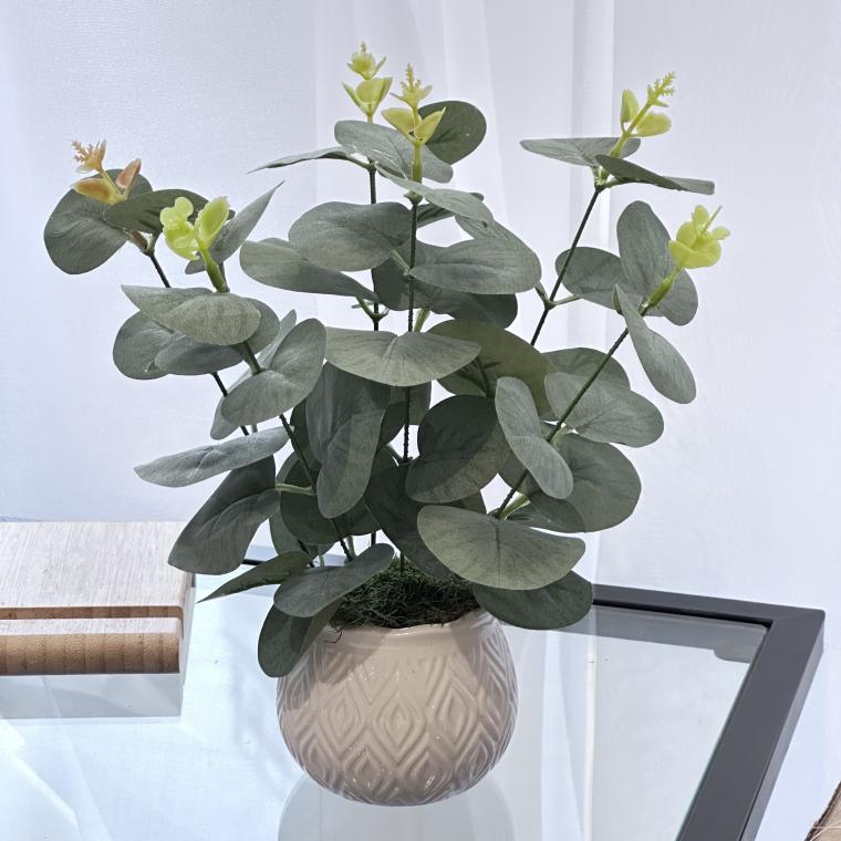 Загружен программно: img_8823.jpeg