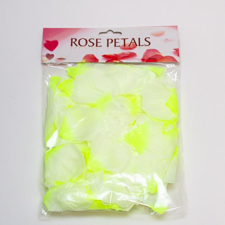 Загружен программно: img_8870.jpg