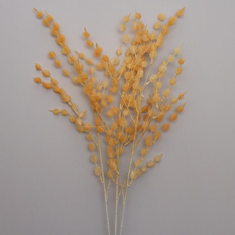 Загружен программно: img_9227.jpg