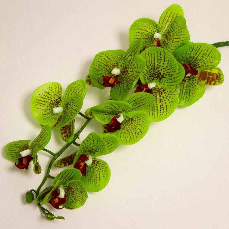 Загружен программно: img_9311.jpg