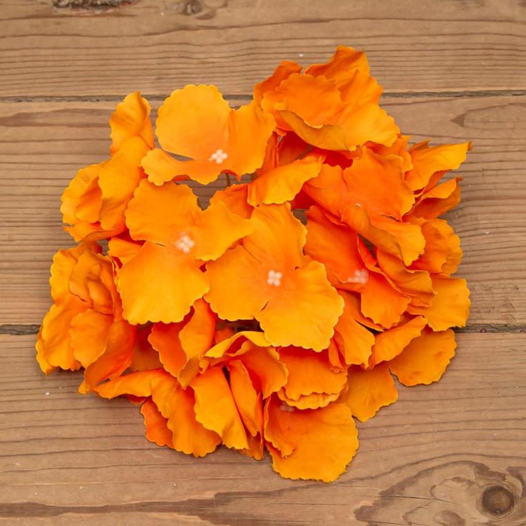 Загружен программно: img_9500.jpg