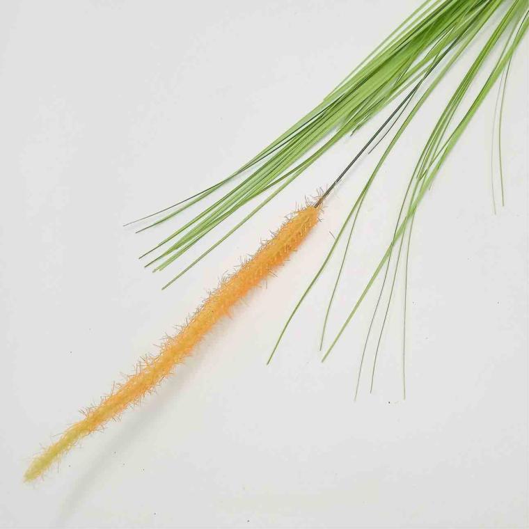 Загружен программно: imgcompressed_5903.jpeg