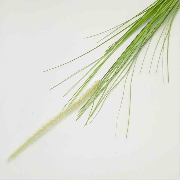 Загружен программно: imgcompressed_6007.jpeg