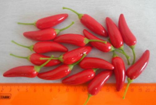 Загружен программно: perec_chili.jpg